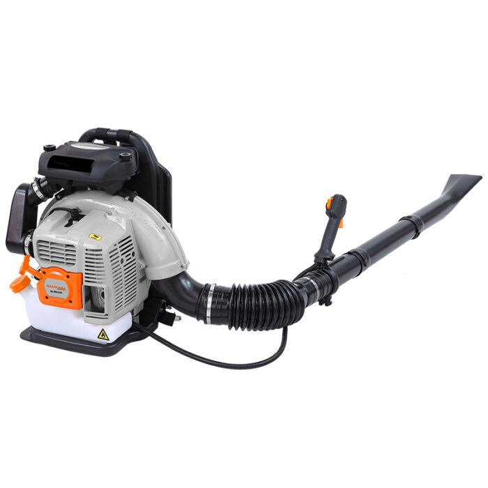 BL6005