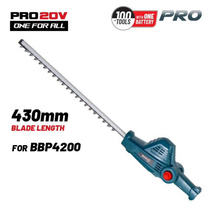 BBP4202.jpg